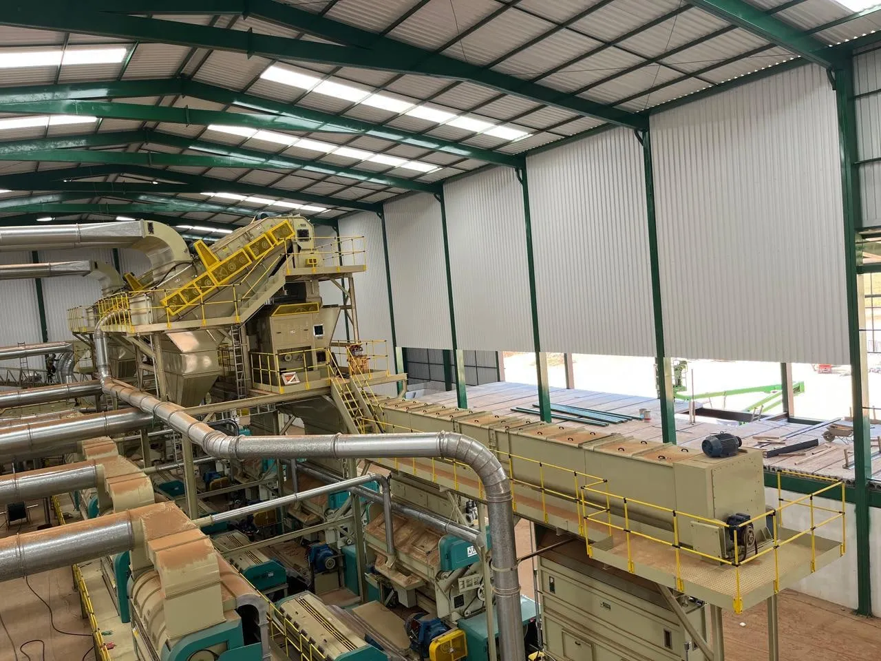 Vista interna de galpão de beneficiamento de grãos, com elevador sobre plataforma amarela, tubulações pneumáticas e motores elétricos visíveis na estrutura.
